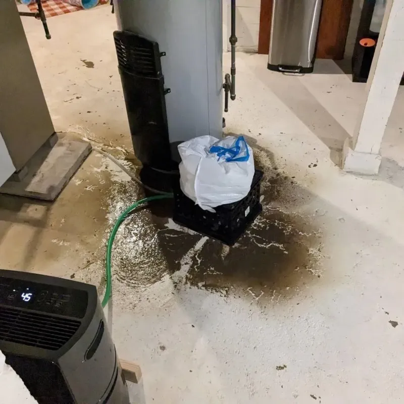 Sewage Backup Cleanup Service in Elfers, FL